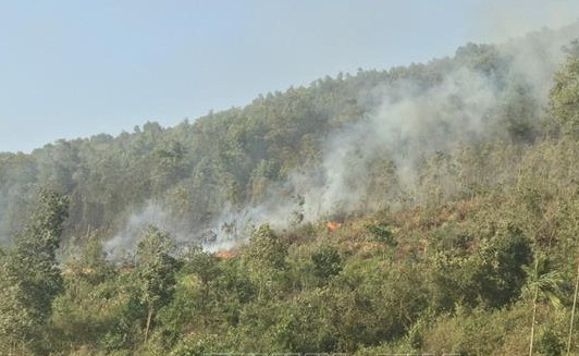 Đã dập tắt đám cháy rừng ở Kinh Môn